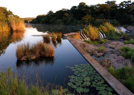 Mlawula Nature Reserve